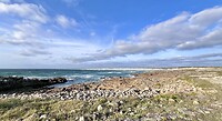 IMG_0170