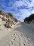 IMG_0105