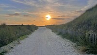 IMG_0277