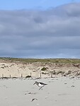 IMG_0091