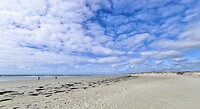 IMG_0095
