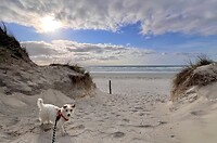 IMG_0132