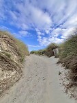 IMG_0128