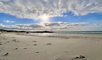 IMG_0139