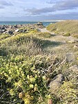 IMG_0173