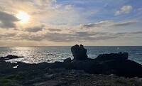 IMG_0184