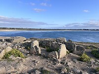 IMG_0192