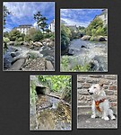 IMG_0675