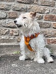 IMG_0353