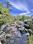 IMG_0367
