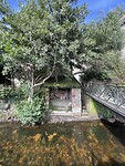 IMG_0380