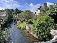 IMG_0390