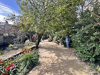 IMG_0396