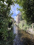 IMG_0392