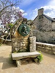 IMG_0411