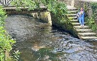 IMG_0421
