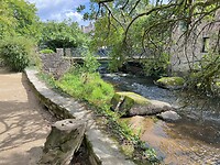 IMG_0424