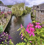 IMG_0444
