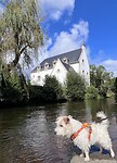 IMG_0464