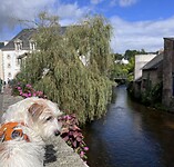 IMG_0475