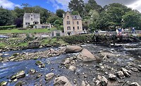 IMG_0492