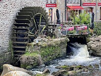 IMG_0504