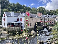 IMG_0523