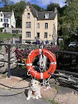 IMG_0529