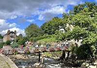 IMG_0533