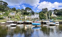 IMG_0537