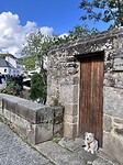IMG_0559