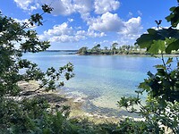 IMG_0689