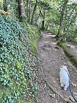IMG_0690