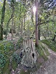 IMG_0691