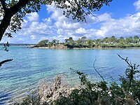IMG_0695