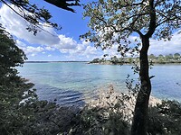 IMG_0698