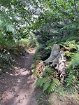 IMG_0701