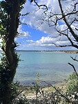 IMG_0705