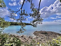 IMG_0710