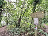 IMG_0717