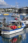 IMG_0784