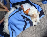 IMG_0759