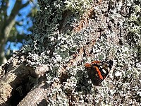IMG_0844