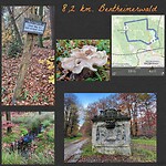 IMG_3206