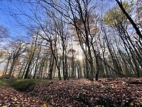 IMG_3204