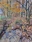 IMG_3197