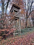 IMG_3194