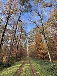 IMG_3192