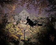 IMG_3180