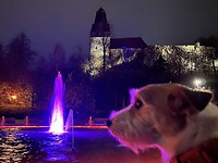 IMG_3160
